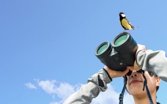 Pape
Bird Observation
Tower